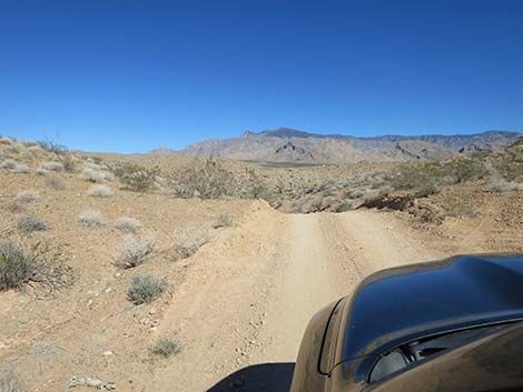 Black Butte Road