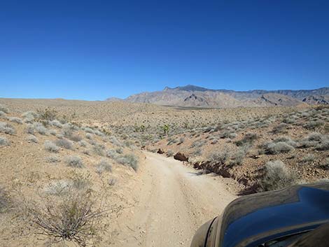 Black Butte Road