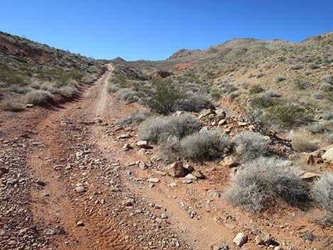 Black Butte Road