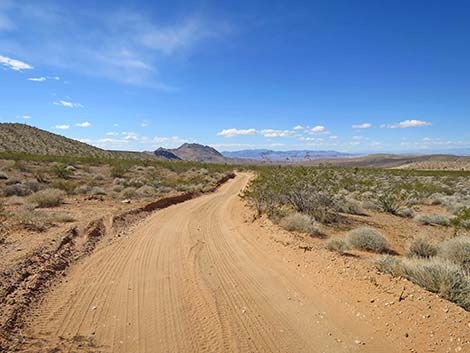 Black Butte Road