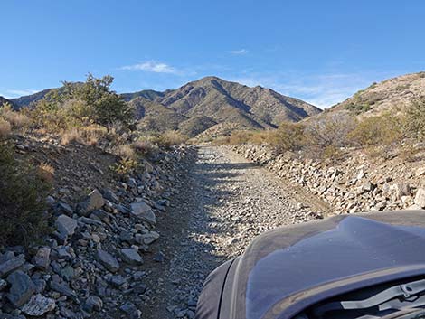 Cabin Canyon Road