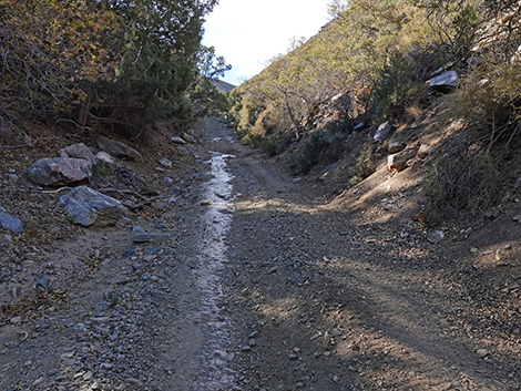 Cabin Canyon Road