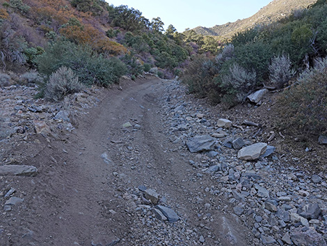 Cabin Canyon Road