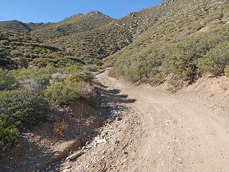 Cabin Canyon Road