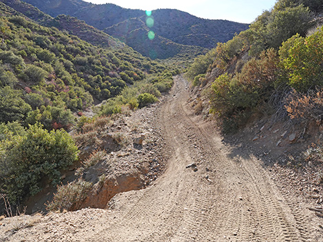 Cabin Canyon Road