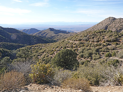 Upper Upper Nickel Canyon Road