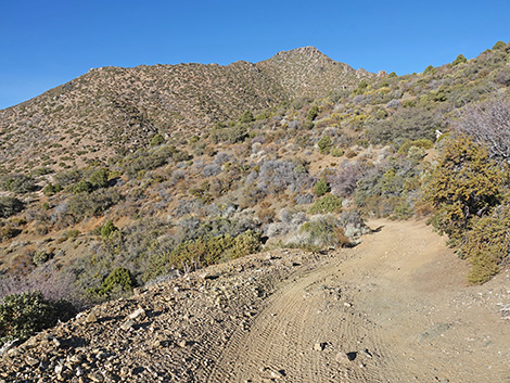 Upper Upper Nickel Canyon Road