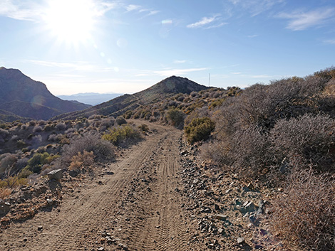 Upper Upper Nickel Canyon Road