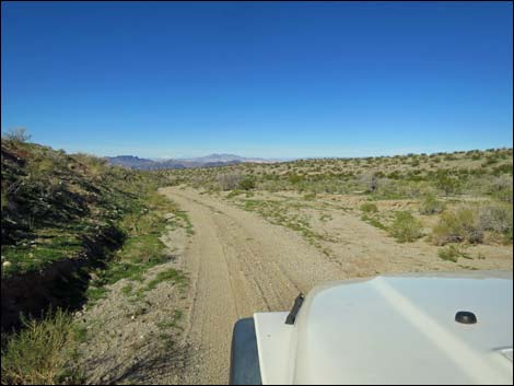 Catclaw Wash Road