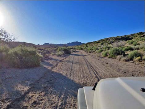 Cedar Basin Road