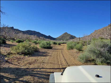 Cedar Basin Road