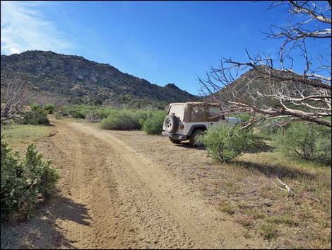 Cedar Basin Road