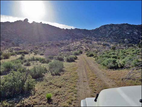 Cedar Basin Road