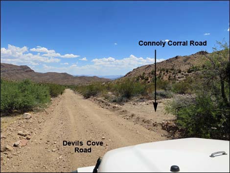 Devils Cove Road