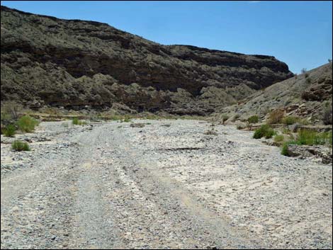 Fisherman Cove Road