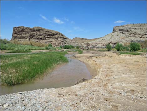 Fisherman Cove