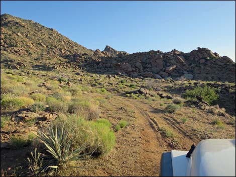 Gold Butte Peak Road