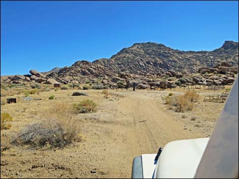 Gold Butte Peak Road