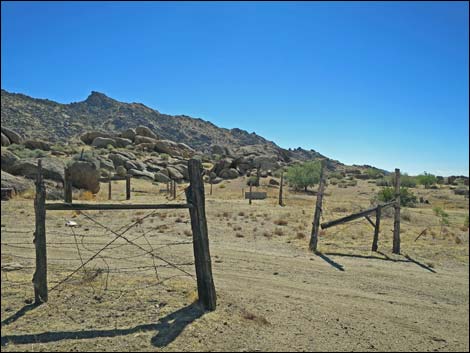 Gold Butte Peak Road