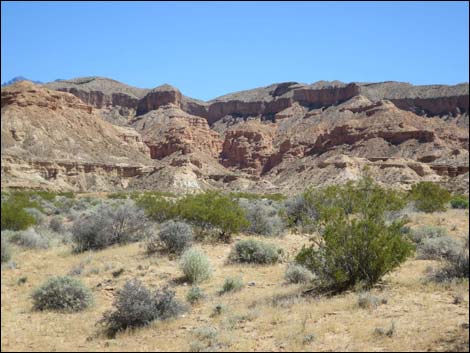 Gold Butte Road