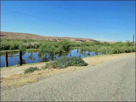 Gold Butte Road