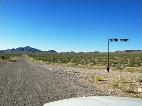 Gold Butte Road