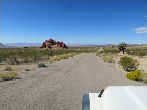 Gold Butte Road