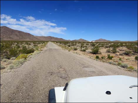 Gold Butte Road