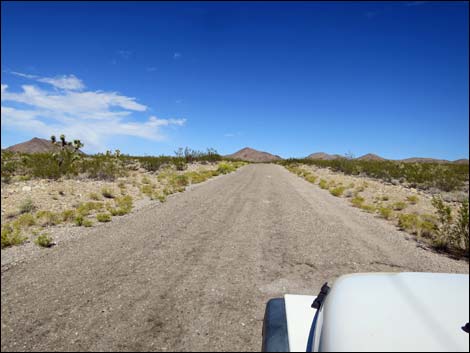 Gold Butte Road