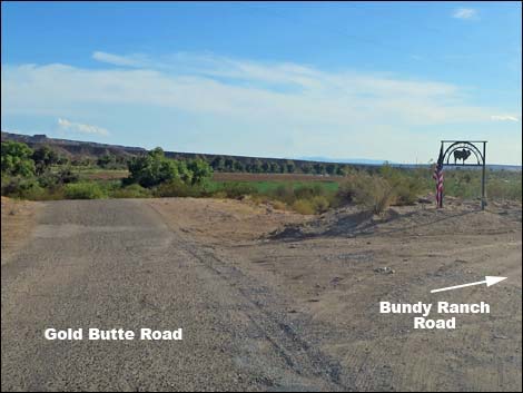 Gold Butte Road