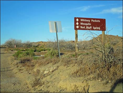 Gold Butte Road