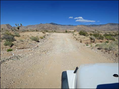 Gold Butte Road