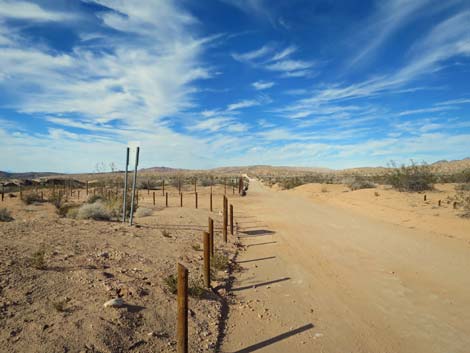 Gold Butte Road