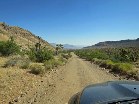 Gold Butte Road