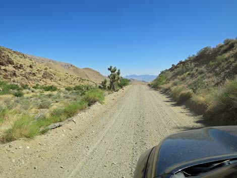 Gold Butte Road