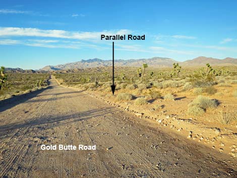 Gold Butte Road