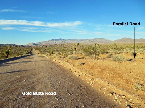 Gold Butte Road