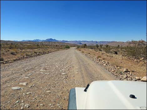 Gold Butte Road