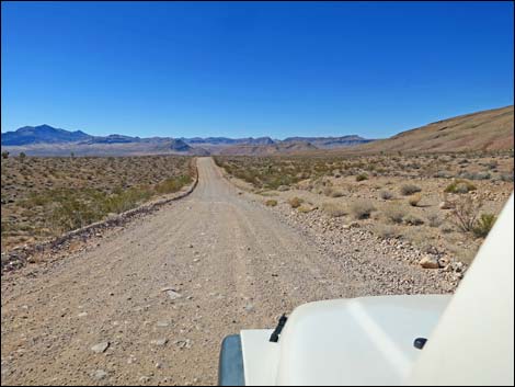 Gold Butte Road