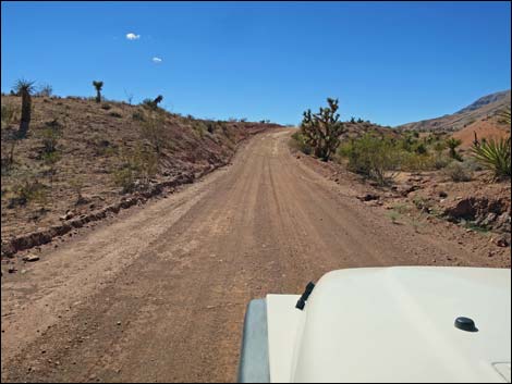 Gold Butte Road