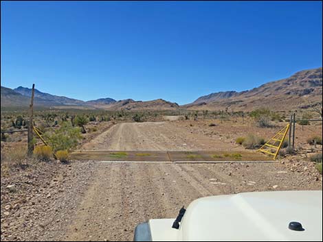 Gold Butte Road