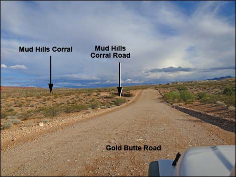 Gold Butte Road