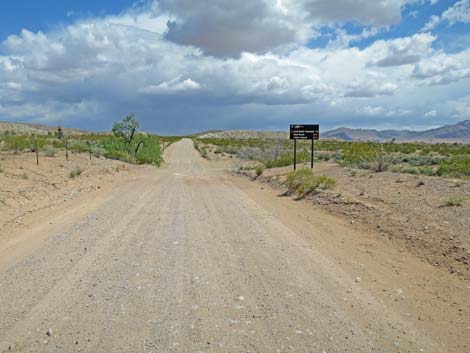 Gold Butte Road