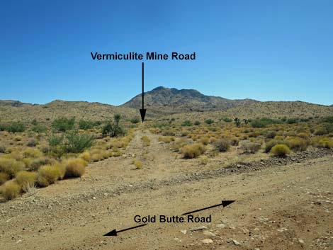 Gold Butte Road