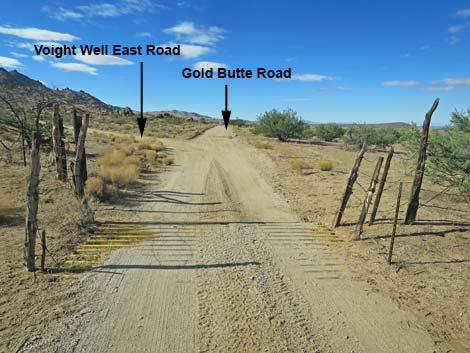 Gold Butte Road