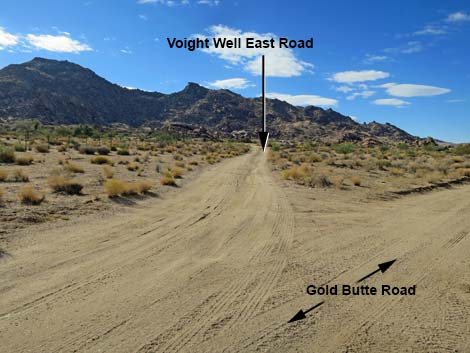 Gold Butte Road