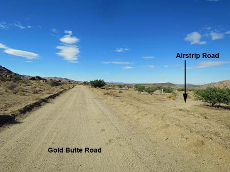 Gold Butte Road