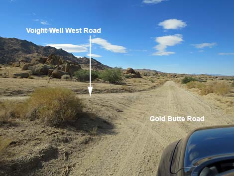 Gold Butte Road