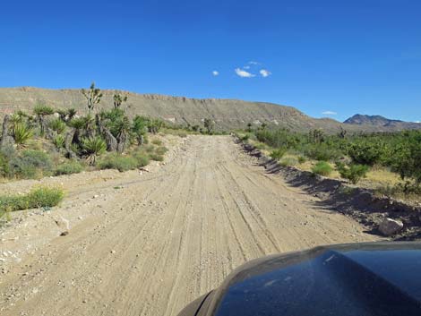 Gold Butte Road