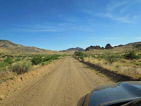 Gold Butte Road